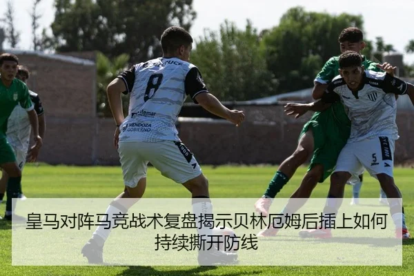 img_1783669118978_23_1_226.jpg